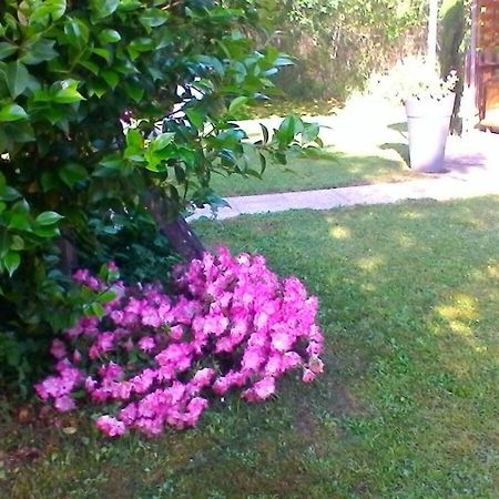 Le Clos Des Palombes Wifi Climatisation Saint-Pierre-du-Mont  المظهر الخارجي الصورة