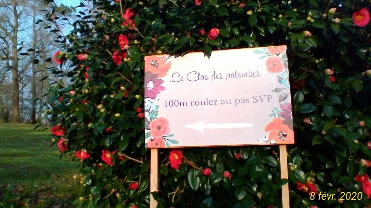 Le Clos Des Palombes Wifi Climatisation Saint-Pierre-du-Mont  المظهر الخارجي الصورة