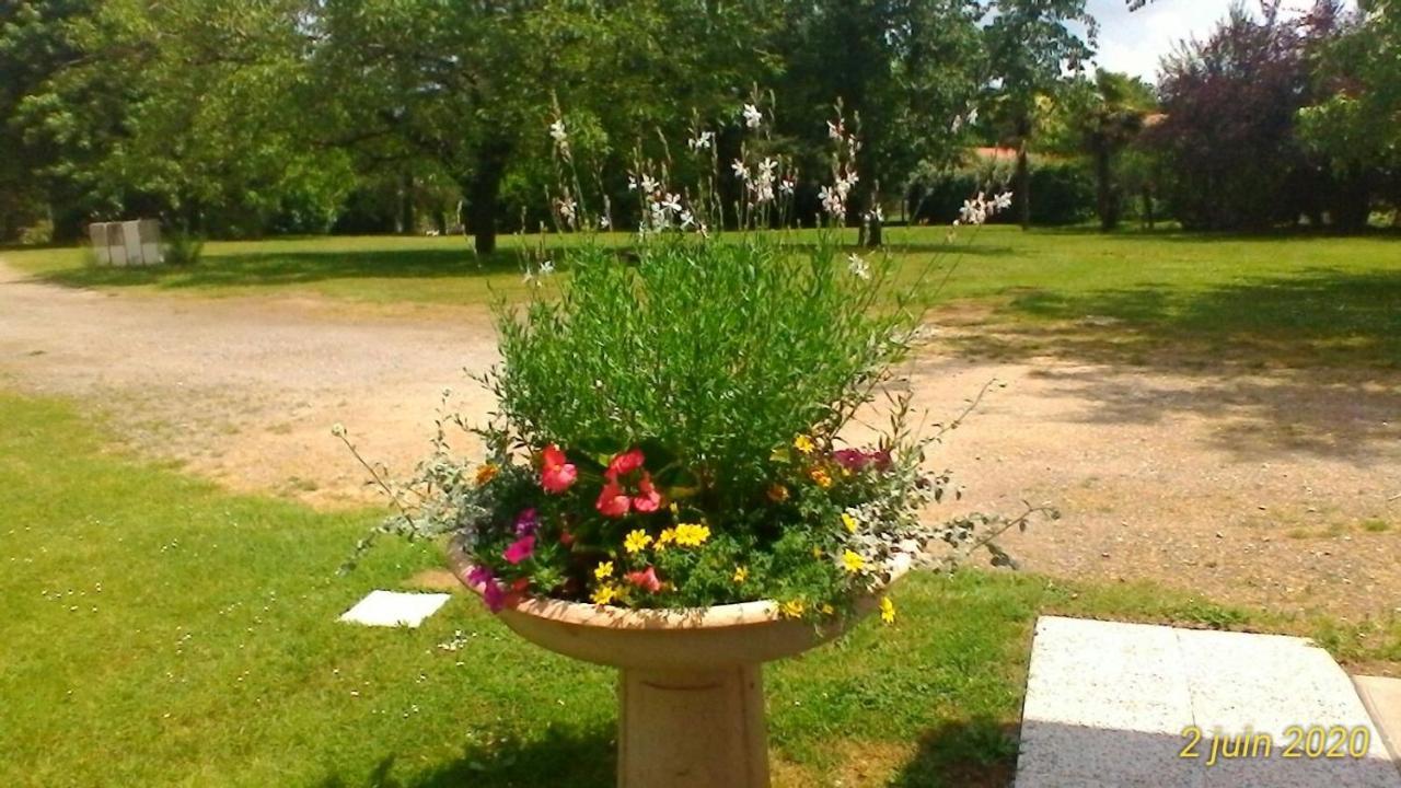 Le Clos Des Palombes Wifi Climatisation Saint-Pierre-du-Mont  المظهر الخارجي الصورة