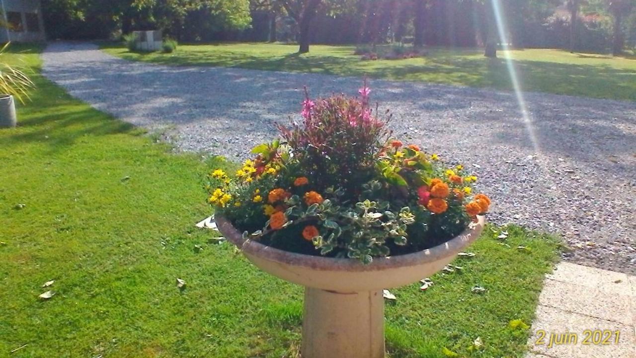 Le Clos Des Palombes Wifi Climatisation Saint-Pierre-du-Mont  المظهر الخارجي الصورة