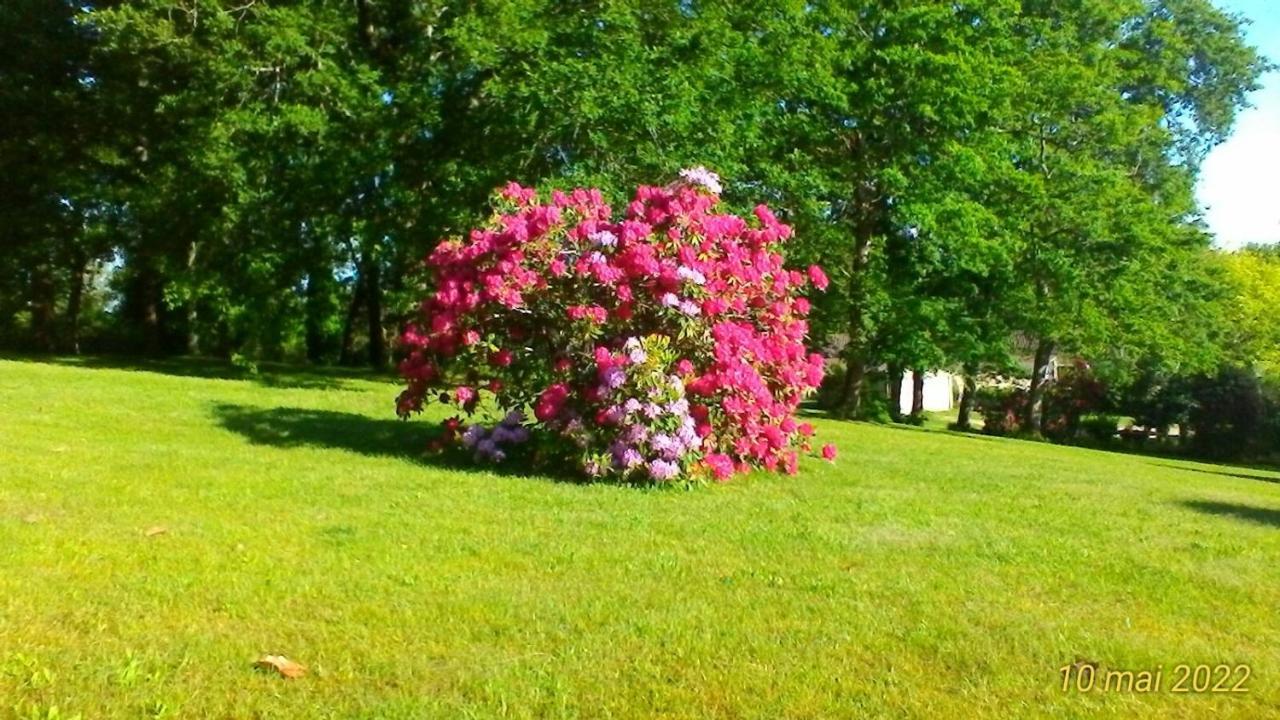 Le Clos Des Palombes Wifi Climatisation Saint-Pierre-du-Mont  المظهر الخارجي الصورة