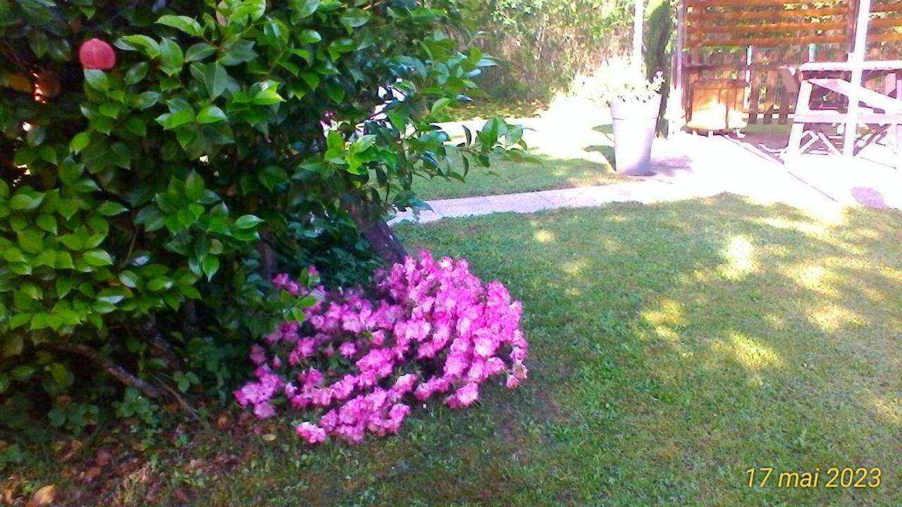 Le Clos Des Palombes Wifi Climatisation Saint-Pierre-du-Mont  المظهر الخارجي الصورة