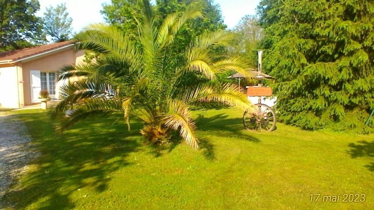 Le Clos Des Palombes Wifi Climatisation Saint-Pierre-du-Mont  المظهر الخارجي الصورة
