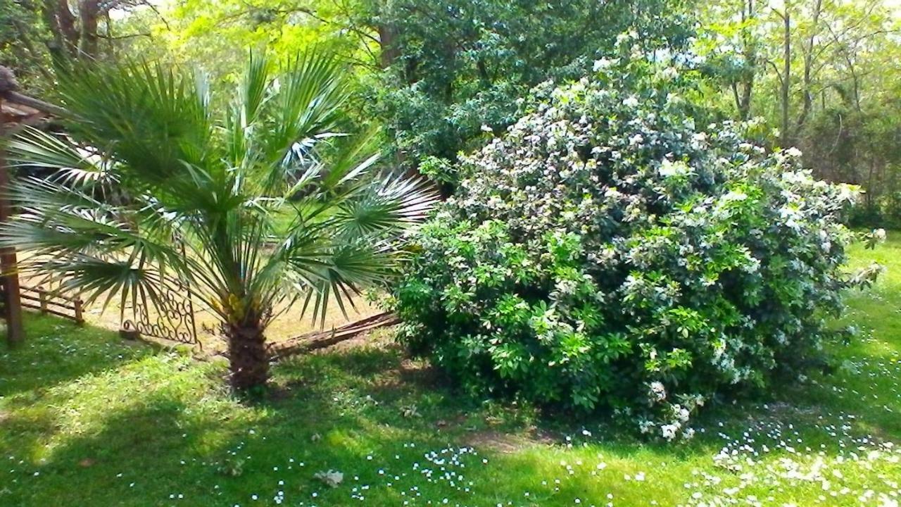 Le Clos Des Palombes Wifi Climatisation Saint-Pierre-du-Mont  المظهر الخارجي الصورة