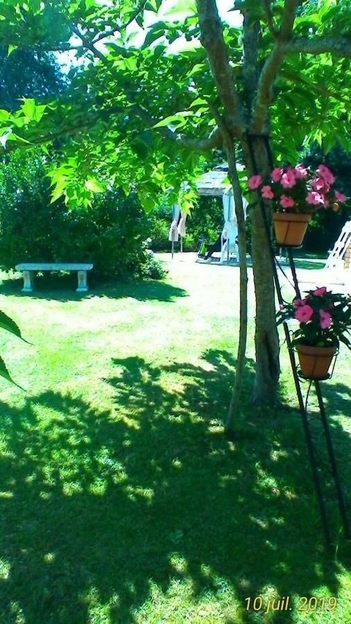 Le Clos Des Palombes Wifi Climatisation Saint-Pierre-du-Mont  المظهر الخارجي الصورة
